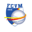 FC VOIRON MOIRANS